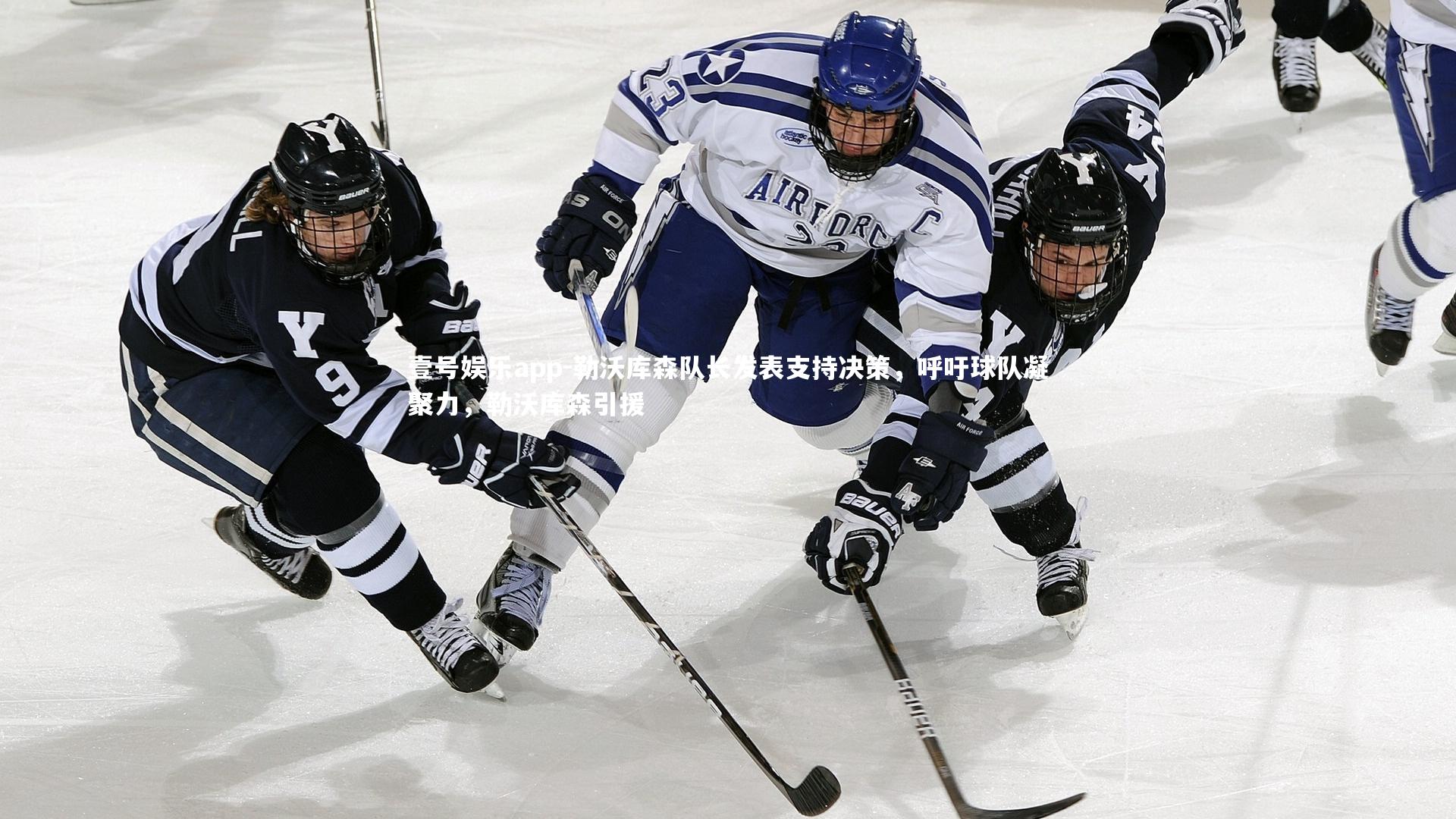 勒沃库森队长发表支持决策,呼吁球队凝聚力,勒沃库森引援
