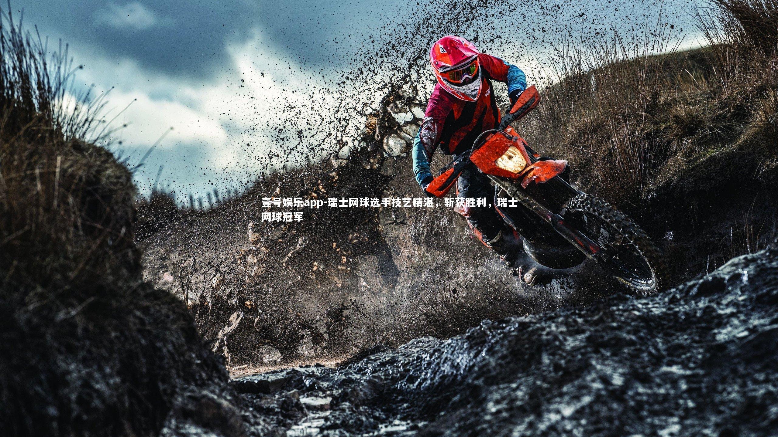 瑞士网球选手技艺精湛,斩获胜利,瑞士网球冠军