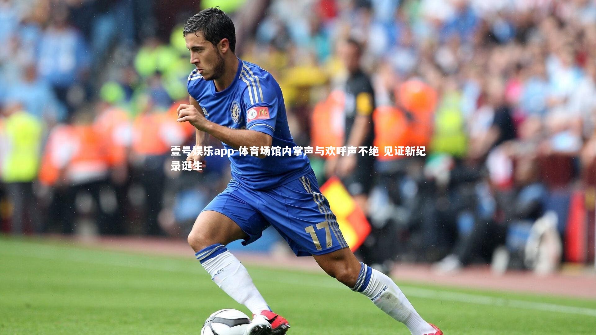 体育场馆内掌声与欢呼声不绝 见证新纪录诞生